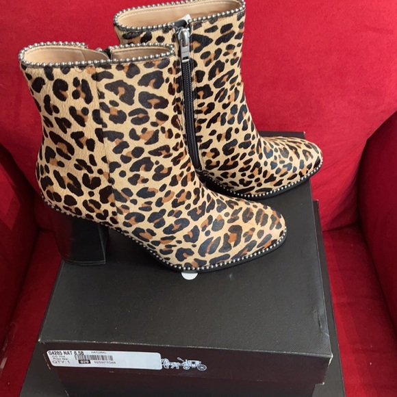 Drea Bootie - Picture 8 of 8